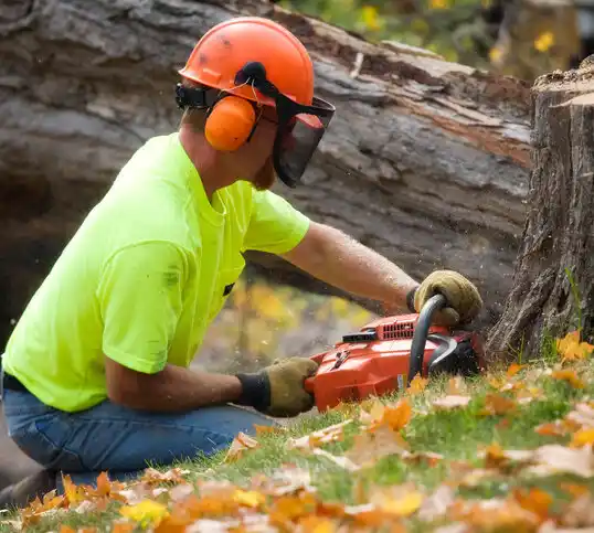 tree services Calverton